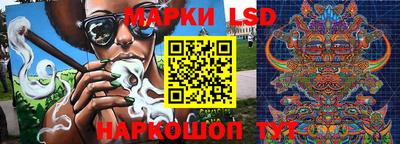 гашик Шелехов