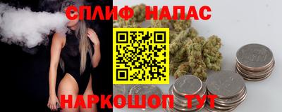 гашик Шелехов