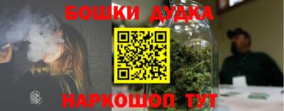гашик Шелехов