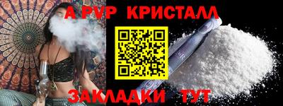 гашик Шелехов