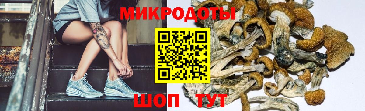 Псилоцибиновые грибы мухоморы  Галлюциногенные грибы мицелий  Родники  наркошоп  Вход с VPN 